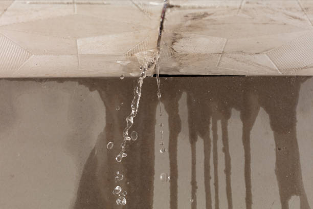 Professional Water Damage Restoration technician working in Severna Park, MD
